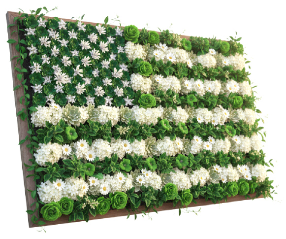 e-luca - fuente biológica de luz y energía