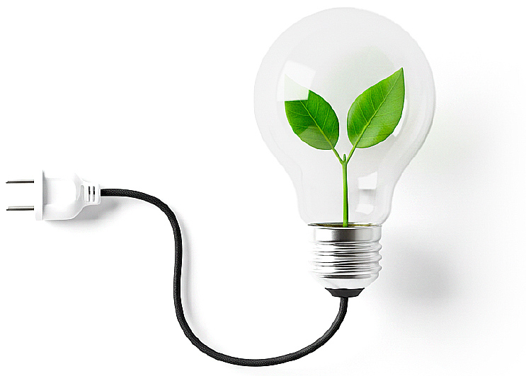 e-luca - fuente biológica de luz y energía